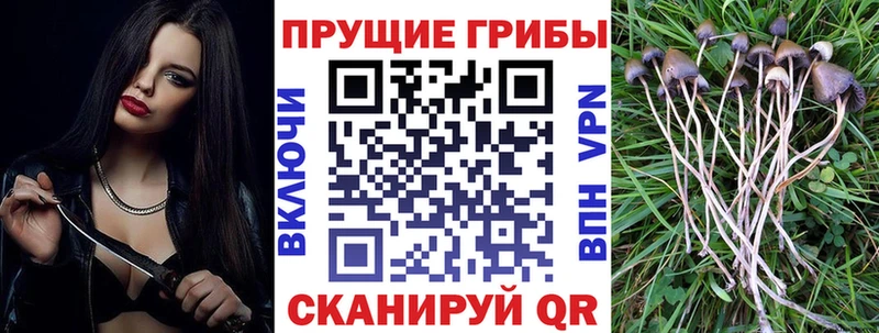 Галлюциногенные грибы мицелий  даркнет сайт  Зея 